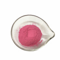 High Quality Fruit Powder Spray Dried  Dragon fruit powder Juice Powder For Making Juice